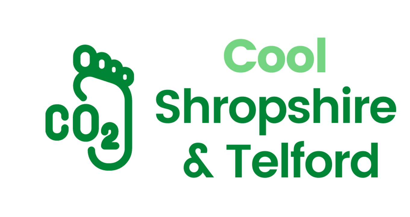 Cool S&T logo